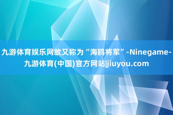 九游体育娱乐网故又称为“海鸥将军”-Ninegame-九游体育(中国)官方网站|jiuyou.com