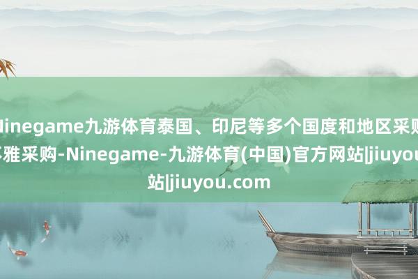Ninegame九游体育泰国、印尼等多个国度和地区采购商参不雅采购-Ninegame-九游体育(中国)官方网站|jiuyou.com
