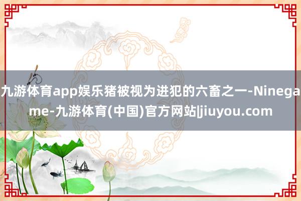 九游体育app娱乐猪被视为进犯的六畜之一-Ninegame-九游体育(中国)官方网站|jiuyou.com